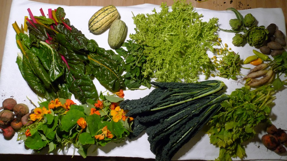 Historische Groentehof groenten-P1080052