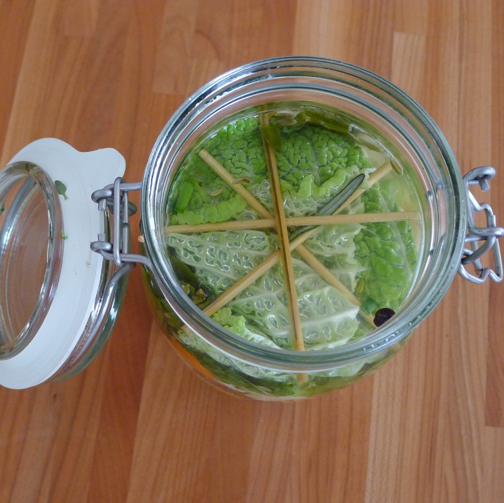 Bloemkool fermenteren-afdekking-L1040724