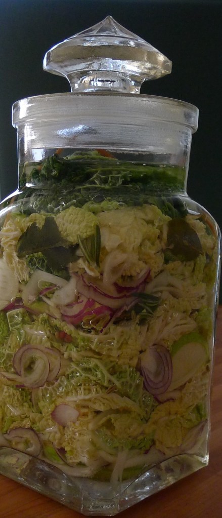 Fermentatie Groene Kool-L1040751