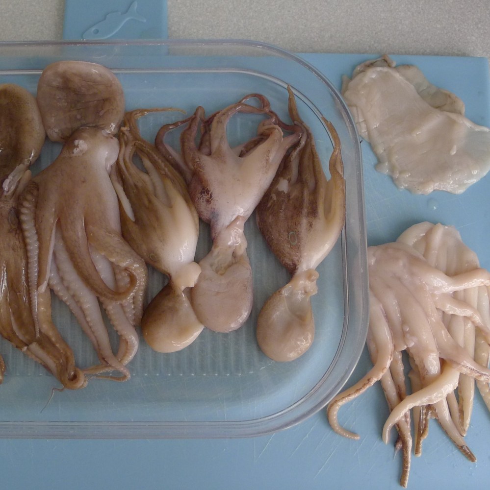 Moscardini Schoonmaken-L1040911