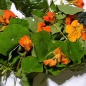 historische-groentehof-groenten-p1080052 (2)