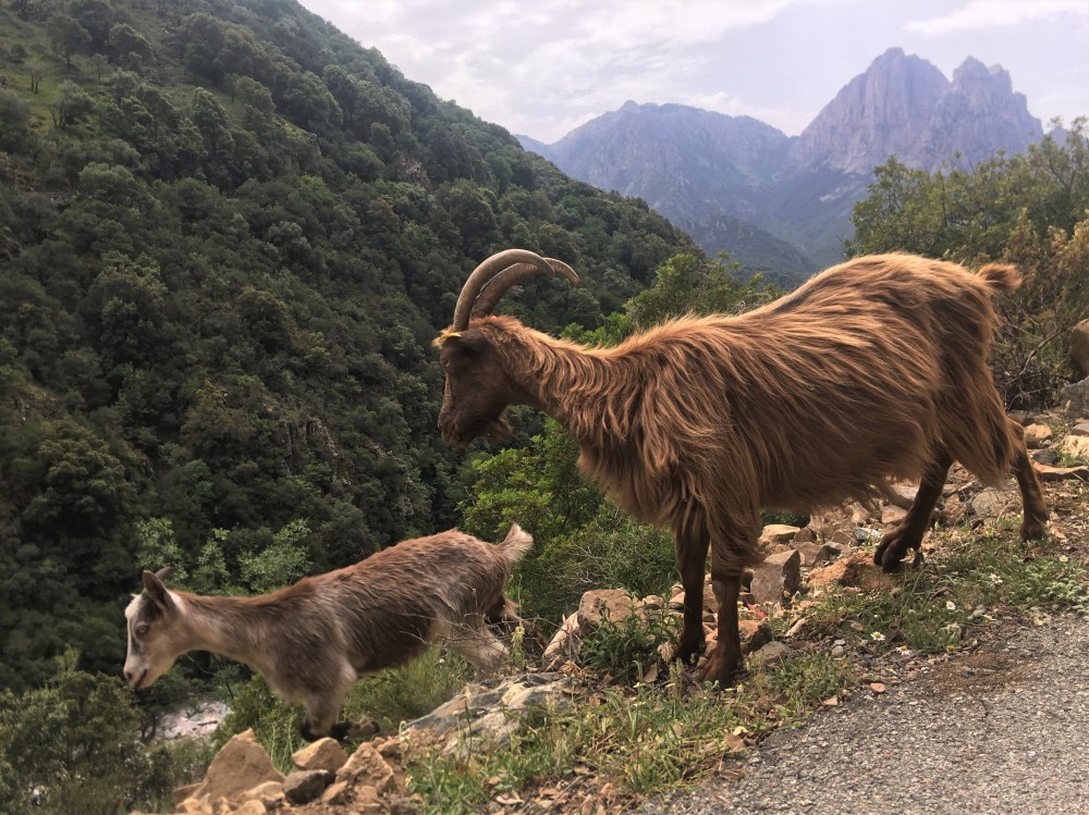 Spelunca Kloof-Ota-IMG_7611-gastblog