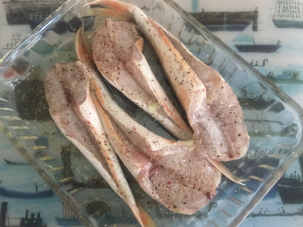 Rode Poon_Vers-IMG_6080