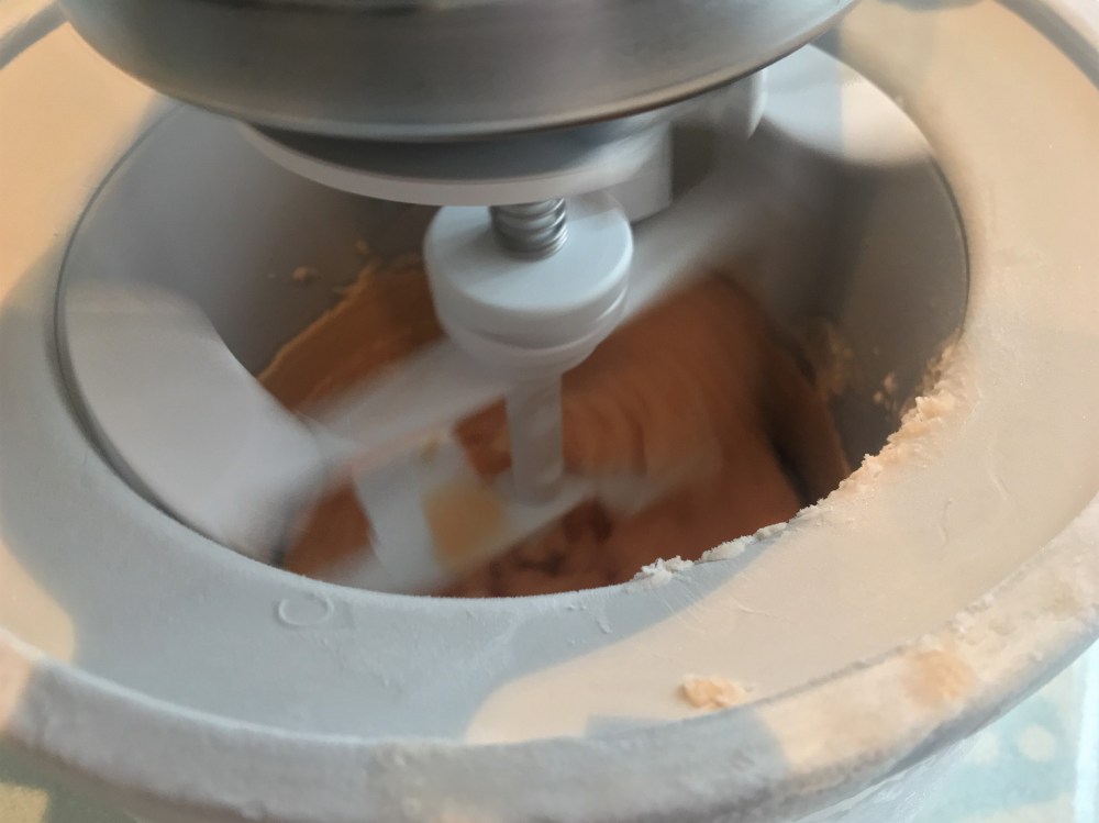 Cantaloupe Sorbetijs_IMG_7189